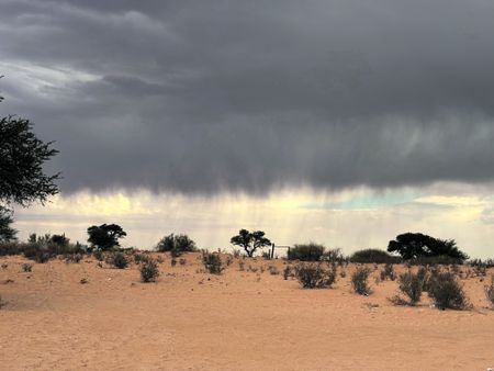 Colours of the Kalahari — answering the desert’s call