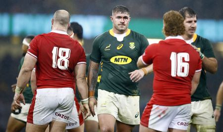 Bok ‘bomb squad’ exploded to sink Wales, underlining their value