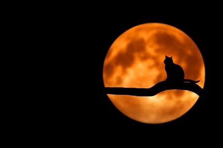 Why does the Moon look close some nights and far away on other nights?