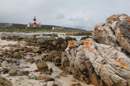 A shipwreck road trip – in search of swimming pigs and rusty memories
