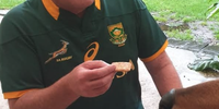 Rugby collisions — making sense of what looks like a brawl