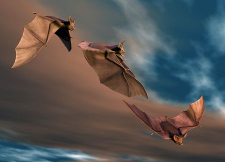 Angels of the night – it’s time to cut bats some slack