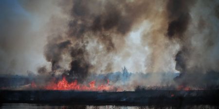 Severe droughts and veld fires set up conditions for food price increases