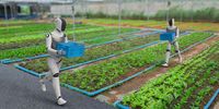 Empowering Africa: How education and AI can transform our food systems for the future