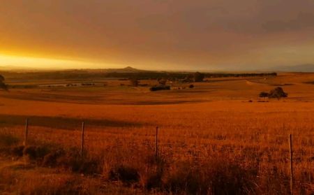 Agbiz/IDC Agribusiness Confidence Index hits its highest level since 2001