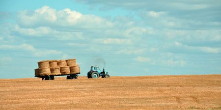 Five months and counting: what can SA expect from the presidential land reform report?