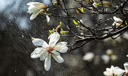 Weather Watch: southeast/central South Africa set for wet conditions as summer looms, north-east drier than normal