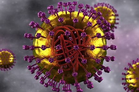 Measles outbreaks confirmed in five provinces, with test positivity rate skyrocketing