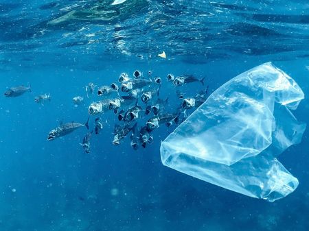 How the state of our oceans is intrinsically linked to human health